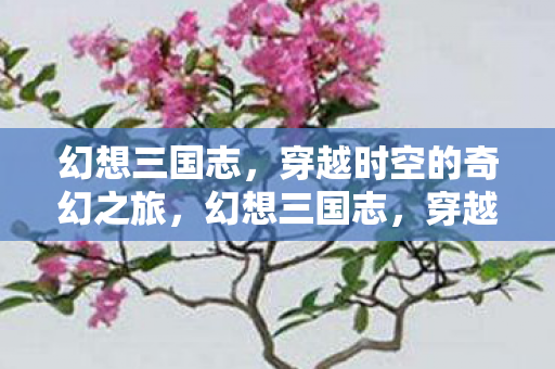 幻想三国志,穿越时空的奇幻之旅,幻想三国志,穿越时空的奇幻冒险之旅 幻想三国志,穿越时空的奇幻之旅,幻想三国志,穿越时空的奇幻冒险之旅