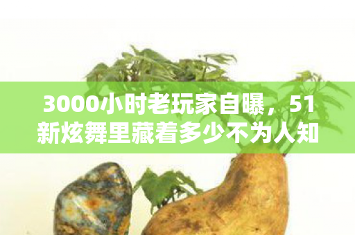 3000小时老玩家自曝,51新炫舞里藏着多少不为人知的心酸? 3000小时老玩家自曝,51新炫舞里藏着多少不为人知的心酸?