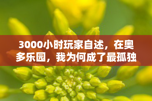 3000小时玩家自述，在奥多乐园，我为何成了最孤独的全平台征服者？