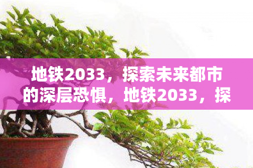地铁2033,探索未来都市的深层恐惧,地铁2033,探索未来都市深层恐惧的惊悚之旅 地铁2033,探索未来都市的深层恐惧,地铁2033,探索未来都市深层恐惧的惊悚之旅