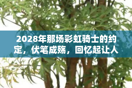 2028年那场彩虹骑士的约定，伏笔成殇，回忆起让人鼻子一酸
