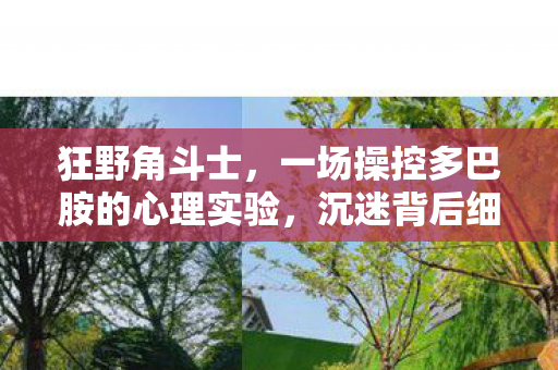 狂野角斗士，一场操控多巴胺的心理实验，沉迷背后细思极恐！
