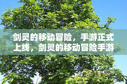 剑灵的移动冒险，手游正式上线，剑灵的移动冒险手游正式上线