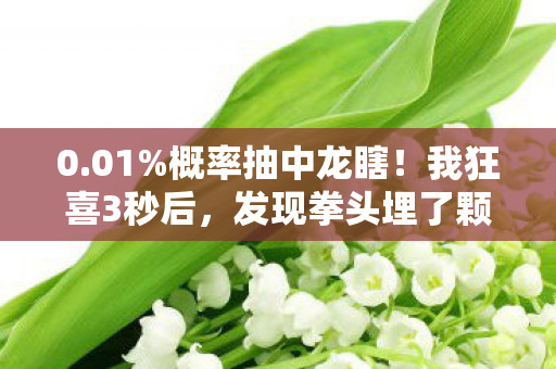 0.01%概率抽中龙瞎!我狂喜3秒后,发现拳头埋了颗202X年的定时炸弹 0.01%概率抽中龙瞎!我狂喜3秒后,发现拳头埋了颗202X年的定时炸弹