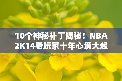 10个神秘补丁揭秘!NBA2K14老玩家十年心境大起底 10个神秘补丁揭秘!NBA2K14老玩家十年心境大起底