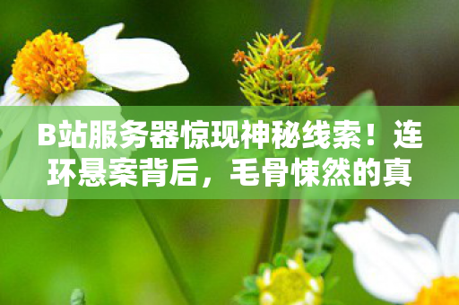 B站服务器惊现神秘线索!连环悬案背后,毛骨悚然的真相等你揭开 B站服务器惊现神秘线索!连环悬案背后,毛骨悚然的真相等你揭开