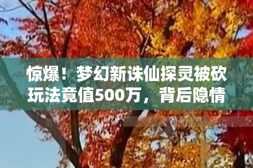 惊爆!梦幻新诛仙探灵被砍玩法竟值500万,背后隐情让人吓一跳! 惊爆!梦幻新诛仙探灵被砍玩法竟值500万,背后隐情让人吓一跳!
