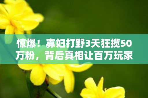 惊爆!寡妇打野3天狂揽50万粉,背后真相让百万玩家集体破防! 惊爆!寡妇打野3天狂揽50万粉,背后真相让百万玩家集体破防!