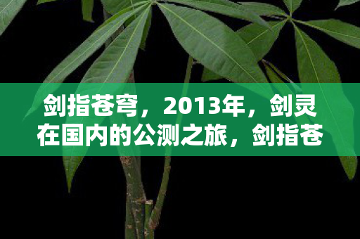 剑指苍穹,2013年,剑灵在国内的公测之旅,剑指苍穹,2013年,见证剑灵国内公测之旅 剑指苍穹,2013年,剑灵在国内的公测之旅,剑指苍穹,2013年,见证剑灵国内公测之旅