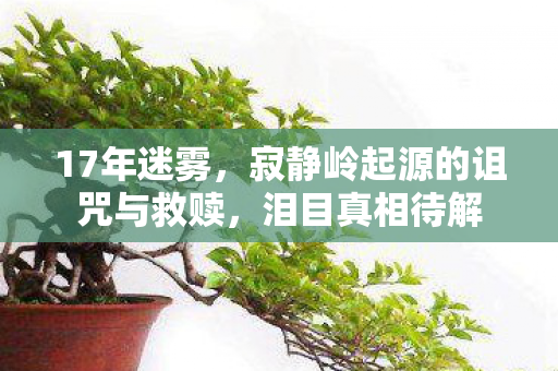 17年迷雾，寂静岭起源的诅咒与救赎，泪目真相待解