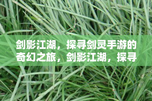 剑影江湖，探寻剑灵手游的奇幻之旅，剑影江湖，探寻剑灵手游的奇幻之旅