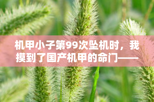 机甲小子第99次坠机时,我摸到了国产机甲的命门——2027年,我们为何还在等一个奇迹? 机甲小子第99次坠机时,我摸到了国产机甲的命门——2027年,我们为何还在等一个奇迹?