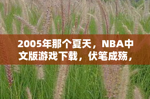 2005年那个夏天，NBA中文版游戏下载，伏笔成殇，鼻子一酸谁还在？
