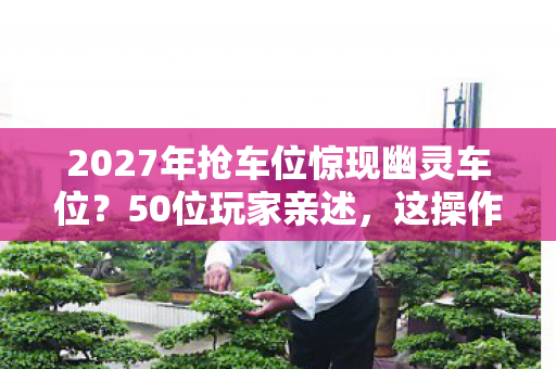 2027年抢车位惊现幽灵车位？50位玩家亲述，这操作我直接绷不住！