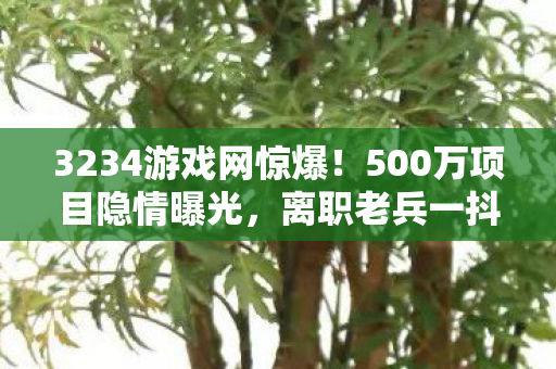 3234游戏网惊爆！500万项目隐情曝光，离职老兵一抖料吓一跳！