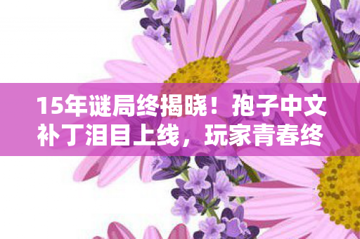 15年谜局终揭晓!孢子中文补丁泪目上线,玩家青春终得圆满 15年谜局终揭晓!孢子中文补丁泪目上线,玩家青春终得圆满