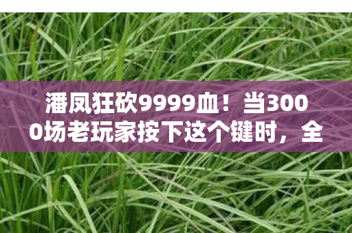 潘凤狂砍9999血!当3000场老玩家按下这个键时,全服都沉默了…… 潘凤狂砍9999血!当3000场老玩家按下这个键时,全服都沉默了……
