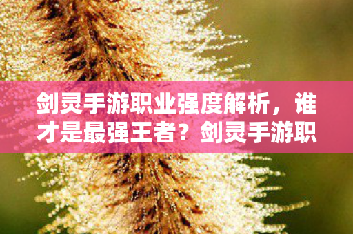 剑灵手游职业强度解析,谁才是最强王者?剑灵手游职业强度大比拼,谁才是最强王者? 剑灵手游职业强度解析,谁才是最强王者?剑灵手游职业强度大比拼,谁才是最强王者?