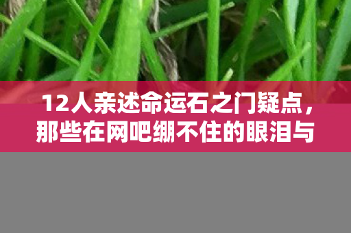 12人亲述命运石之门疑点,那些在网吧绷不住的眼泪与狂笑 12人亲述命运石之门疑点,那些在网吧绷不住的眼泪与狂笑