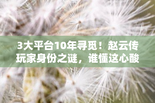 3大平台10年寻觅!赵云传玩家身份之谜,谁懂这心酸攻略路? 3大平台10年寻觅!赵云传玩家身份之谜,谁懂这心酸攻略路?
