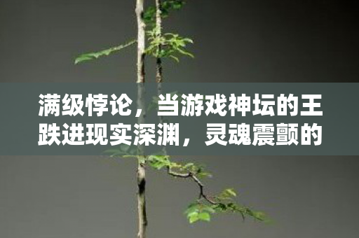 满级悖论,当游戏神坛的王跌进现实深渊,灵魂震颤的终极攻略竟是…… 满级悖论,当游戏神坛的王跌进现实深渊,灵魂震颤的终极攻略竟是……