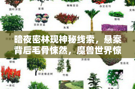 暗夜密林现神秘线索,悬案背后毛骨悚然,魔兽世界惊天谜团! 暗夜密林现神秘线索,悬案背后毛骨悚然,魔兽世界惊天谜团!