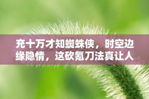 充十万才知蜘蛛侠,时空边缘隐情,这砍氪刀法真让人吓一跳! 充十万才知蜘蛛侠,时空边缘隐情,这砍氪刀法真让人吓一跳!