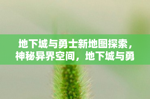 地下城与勇士新地图探索,神秘异界空间,地下城与勇士新地图揭秘,探索神秘异界空间 地下城与勇士新地图探索,神秘异界空间,地下城与勇士新地图揭秘,探索神秘异界空间
