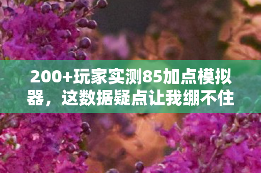 200+玩家实测85加点模拟器,这数据疑点让我绷不住在网吧哭成狗! 200+玩家实测85加点模拟器,这数据疑点让我绷不住在网吧哭成狗!