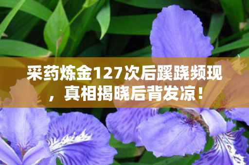 采药炼金127次后蹊跷频现，真相揭晓后背发凉！