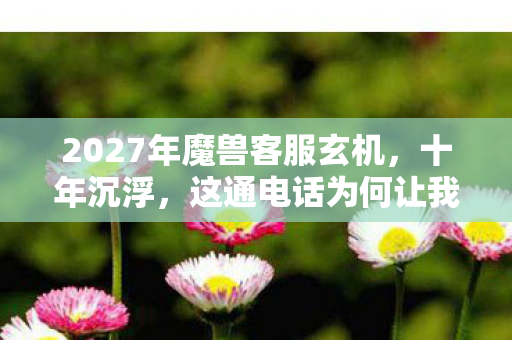 2027年魔兽客服玄机，十年沉浮，这通电话为何让我沉默至今？