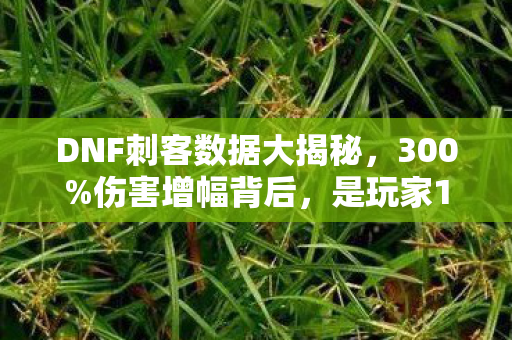 DNF刺客数据大揭秘,300%伤害增幅背后,是玩家10年未见的职业春天? DNF刺客数据大揭秘,300%伤害增幅背后,是玩家10年未见的职业春天?