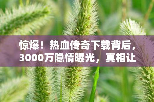 惊爆!热血传奇下载背后,3000万隐情曝光,真相让人吓一跳! 惊爆!热血传奇下载背后,3000万隐情曝光,真相让人吓一跳!