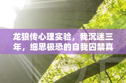 龙狼传心理实验,我沉迷三年,细思极恐的自我囚禁真相 龙狼传心理实验,我沉迷三年,细思极恐的自我囚禁真相
