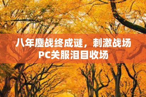 八年鏖战终成谜,刺激战场PC关服泪目收场 八年鏖战终成谜,刺激战场PC关服泪目收场