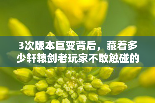 3次版本巨变背后,藏着多少轩辕剑老玩家不敢触碰的真相? 3次版本巨变背后,藏着多少轩辕剑老玩家不敢触碰的真相?