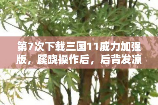 第7次下载三国11威力加强版,蹊跷操作后,后背发凉,我竟被游戏玩了半生 第7次下载三国11威力加强版,蹊跷操作后,后背发凉,我竟被游戏玩了半生