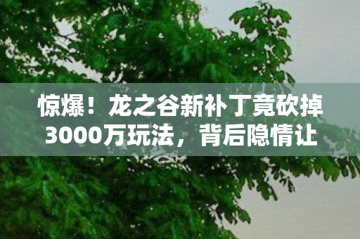 惊爆!龙之谷新补丁竟砍掉3000万玩法,背后隐情让人吓一跳! 惊爆!龙之谷新补丁竟砍掉3000万玩法,背后隐情让人吓一跳!