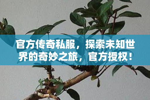 探索未知世界的奇妙之旅图片