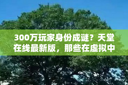 300万玩家身份成谜？天堂在线最新版，那些在虚拟中疗愈心伤的人