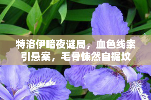 特洛伊暗夜谜局，血色线索引悬案，毛骨悚然自掘坟