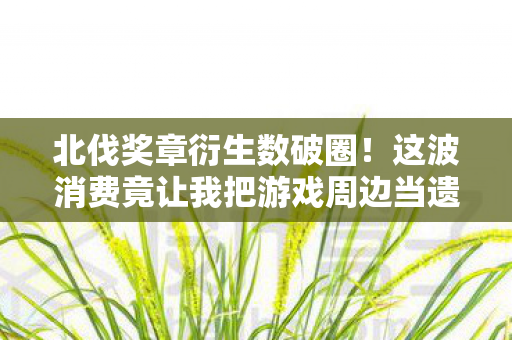北伐奖章衍生数破圈！这波消费竟让我把游戏周边当遗照？