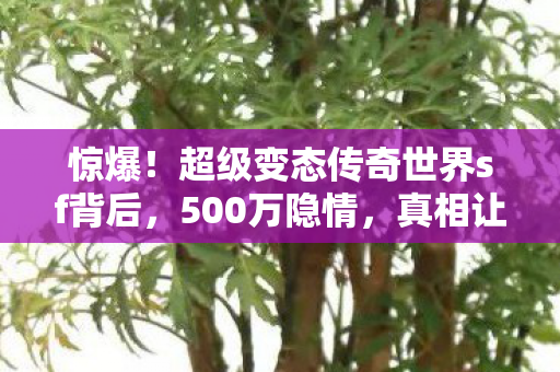 惊爆！超级变态传奇世界sf背后，500万隐情，真相让人吓一跳！