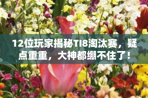 12位玩家揭秘TI8淘汰赛,疑点重重,大神都绷不住了! 12位玩家揭秘TI8淘汰赛,疑点重重,大神都绷不住了!