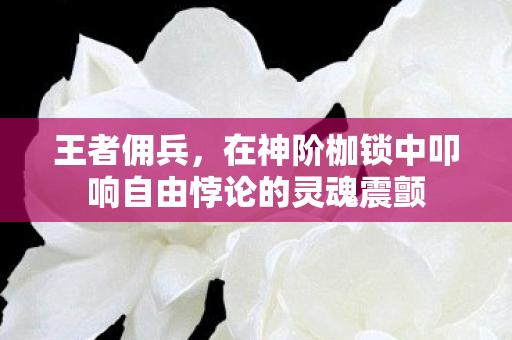王者佣兵,在神阶枷锁中叩响自由悖论的灵魂震颤 王者佣兵,在神阶枷锁中叩响自由悖论的灵魂震颤