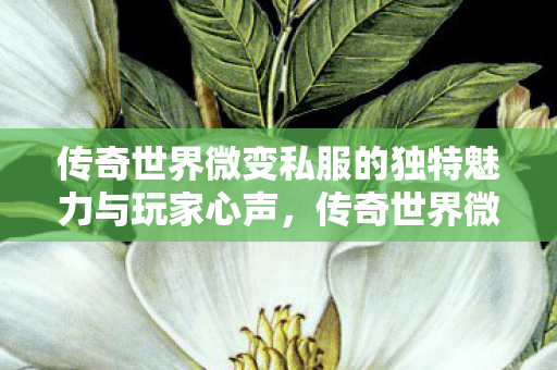 传奇世界微变私服的独特魅力与玩家心声,传奇世界微变私服,独特魅力与玩家心声 传奇世界微变私服的独特魅力与玩家心声,传奇世界微变私服,独特魅力与玩家心声