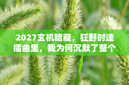 2027玄机暗藏,狂野时速插曲里,我为何沉默了整个青春? 2027玄机暗藏,狂野时速插曲里,我为何沉默了整个青春?