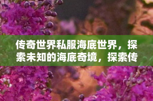 传奇世界私服海底世界,探索未知的海底奇境,探索传奇世界私服海底世界,揭秘未知的海底奇境 传奇世界私服海底世界,探索未知的海底奇境,探索传奇世界私服海底世界,揭秘未知的海底奇境