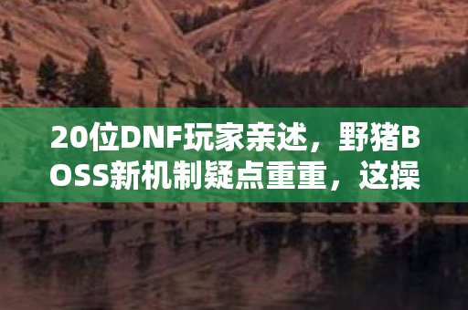 20位DNF玩家亲述，野猪BOSS新机制疑点重重，这操作谁能绷得住？