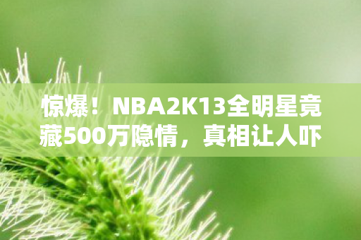 惊爆!NBA2K13全明星竟藏500万隐情,真相让人吓一跳! 惊爆!NBA2K13全明星竟藏500万隐情,真相让人吓一跳!